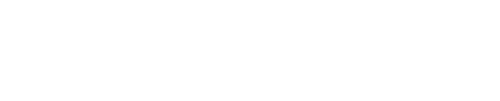 Blitz Automotive